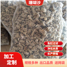 定制500克珊瑚石鱼池鱼缸造景过滤底砂珊瑚骨海鲜池养鱼净化珊瑚