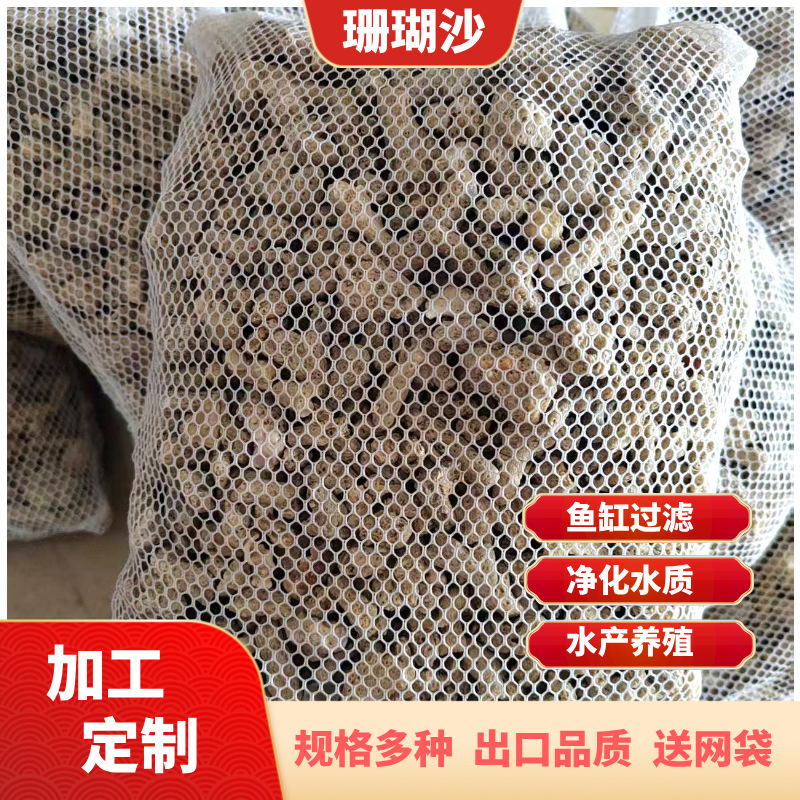 定制500克珊瑚石鱼池鱼缸造景过滤底砂珊瑚骨海鲜池养鱼净化珊瑚