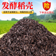发酵腐熟稻壳盆栽疏松透气改良植物花卉专通用月季营养配土稻壳炭