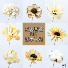 �ٗl�U��Ѭ�����������a��Һ�o��]�l������ɢ�l�����ľ��վ���