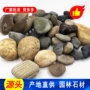 英鹏珠海工程铺设鹅卵石