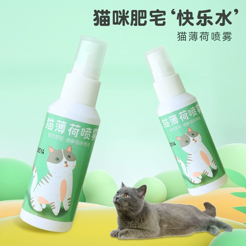 Mint spray, interactive toy, (Physicals), cat