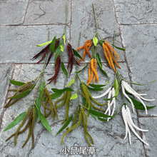 �¿�Gɫ�~β���S�� С��β�� �Gɫëë�x��c�����������ٻ����l