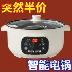 德国电炒锅家用电煮锅多功能电炒蒸煮一体锅电火锅大容量不粘电锅