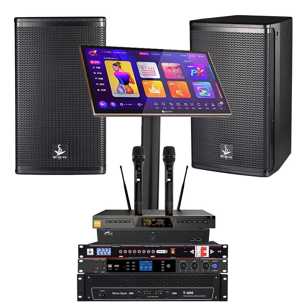 Sistema de audio para karaoke, conjunto completo, versión internacional, equipo de audio profesional para KTV, equipo de audio para bar y hogar.