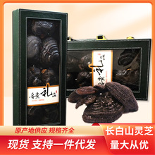 长白山灵芝干货整枝紫灵芝整朵东北林芝礼盒装中药材批发源头代发
