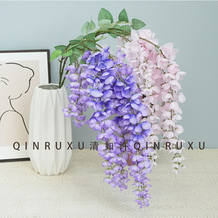 6�氢�������ٻ������L֦�ٻ���Y���b��潁���Ƶ����b�