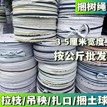 BZY.���L���Ĳ��l�K�������K�⎧�����������������ڴ�������֦�u