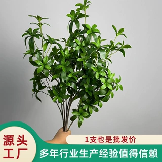 大枝马醉木仿真绿植花艺造景绿植酒店家居装饰仿真叶假花厂家批发