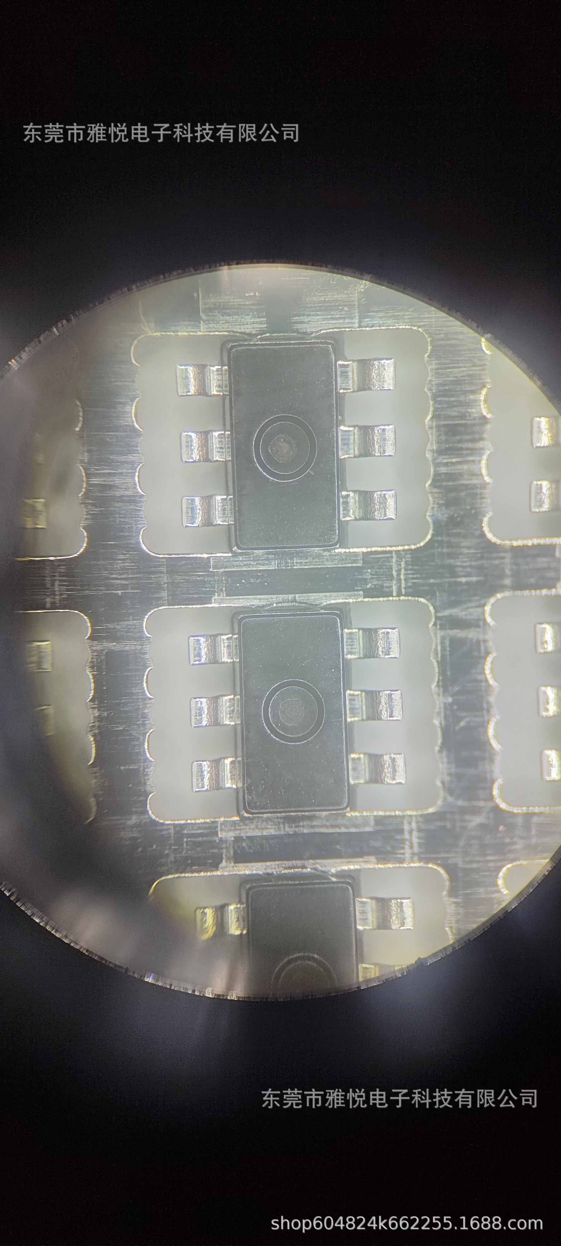 微信图片_20241112095550