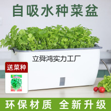 陽台種菜盆家庭蔬菜種植盆專用箱自吸水室內莓盆栽懶人塑料花盆