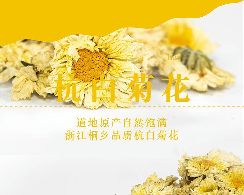 Hang Bai Ju Chrysanthemum Tea 500g Premium Tongxiang White Chrysanthemum Buds for Daily Brewing overview