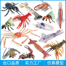 仿真儿童认知海洋模型鱿鱼虾蜘蛛蟹椰子蟹寄居蟹小龙虾招潮蟹摆件