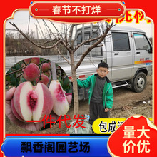 һlشҘҼ޽ҘϷļNֲͥԺ