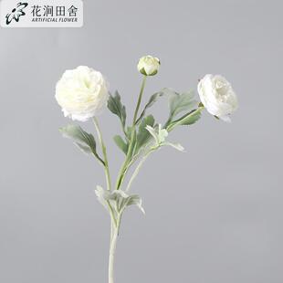 ��ĵ�����滨ֲ�q3�^¶ɏ�� ��c�û������b�ֲ�qǧ��¶ɏ���滨
