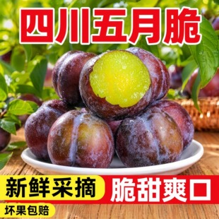 �Ĵ����´�����Ó�����r��ժ����ˬ�ډĹ����r