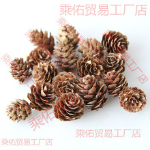 �����M��ľƬ���~�͹ŵ��߸ɻ��b�ɹ��}�Q�b[��diy�׃��@�ɹ�