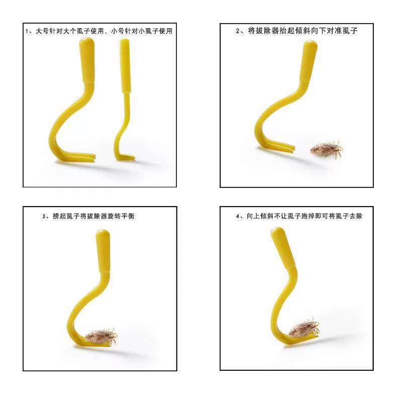 Pet hard pillar pulled vessel flea clip removed lice and grab flea combed insect tapeworm extraction
