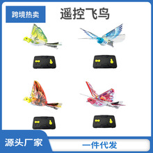 電動遙控飛鳥玩具2.4G充電遙控撲翼鴿子鳥跨境電商一件代發