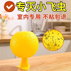 屋内リビングルームの飛翔昆虫を殺すための小型捕獲器、キッチンの粘着性の昆虫ボールはハエやコバエを誘引します。