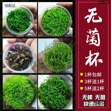 �o����ˮ�쾰ˮ�������㰫������ţë�ڶ�Ī˹�m͢¹��������