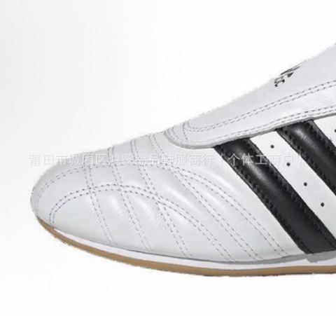 Taekwondo white - no laces (the shoes are too small, take half a size up)