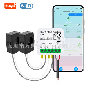 Graffiti WIFI Smart Meter Current Transformer Power Consumption Monitor Power Statistics 80A