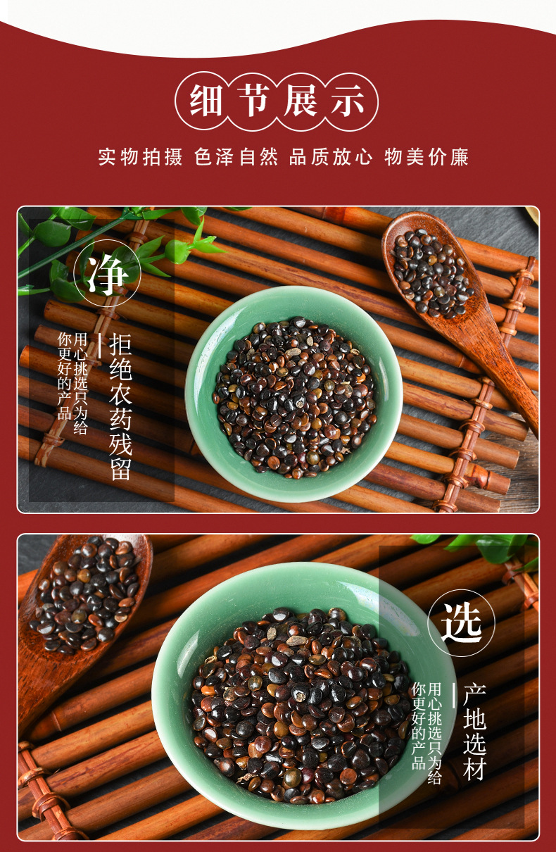 Zhi Ju Zi (Hovenia dulcis) — Dried Food-Herb Fruit for Tea & Soup quality and texture
