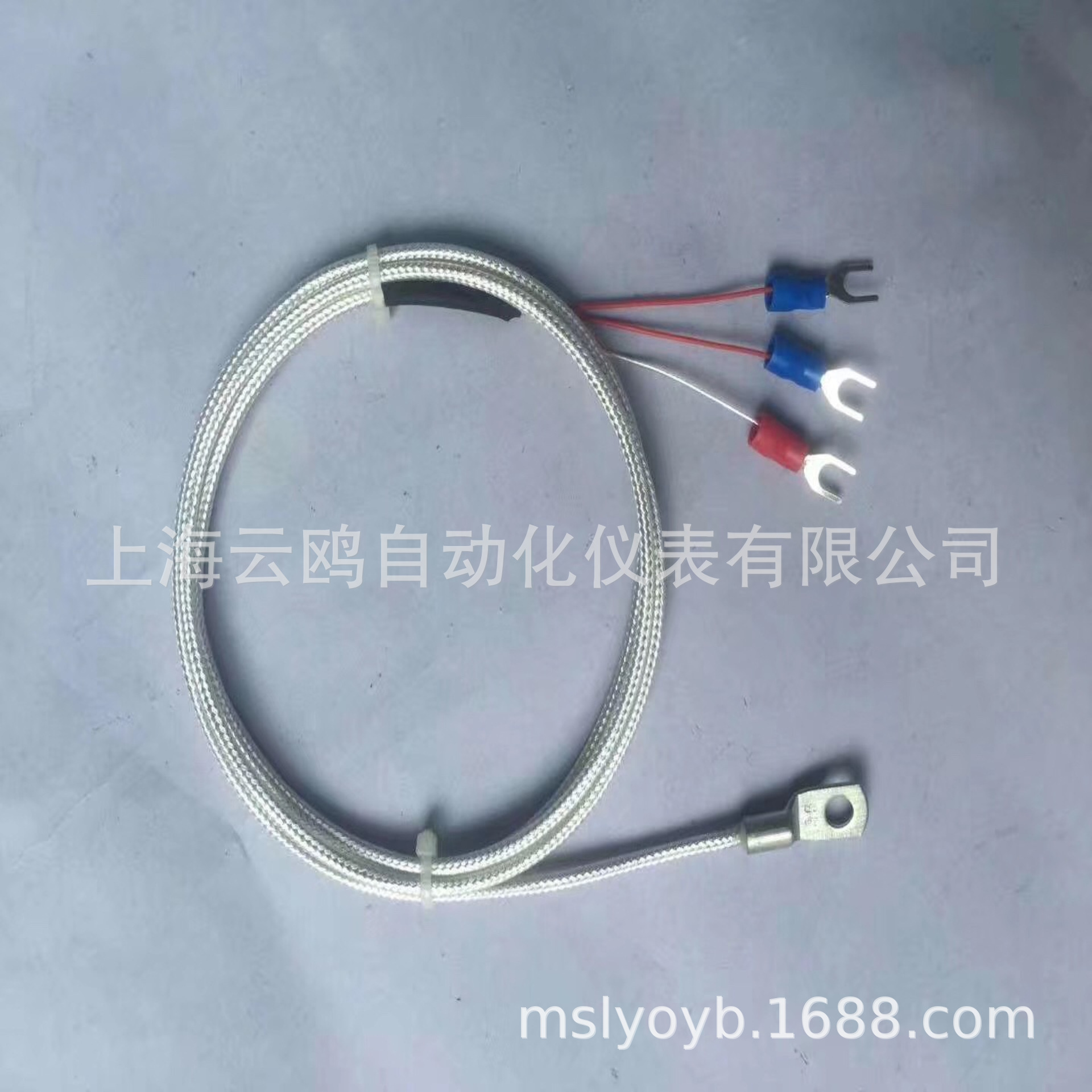 插入式铠装热电阻温度传感器拧入式热电阻温度传感器