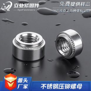 ���P䓉��T��ĸ�k����ñ�A�Ή����o��304�۾o�T��ĸ�F؛���l