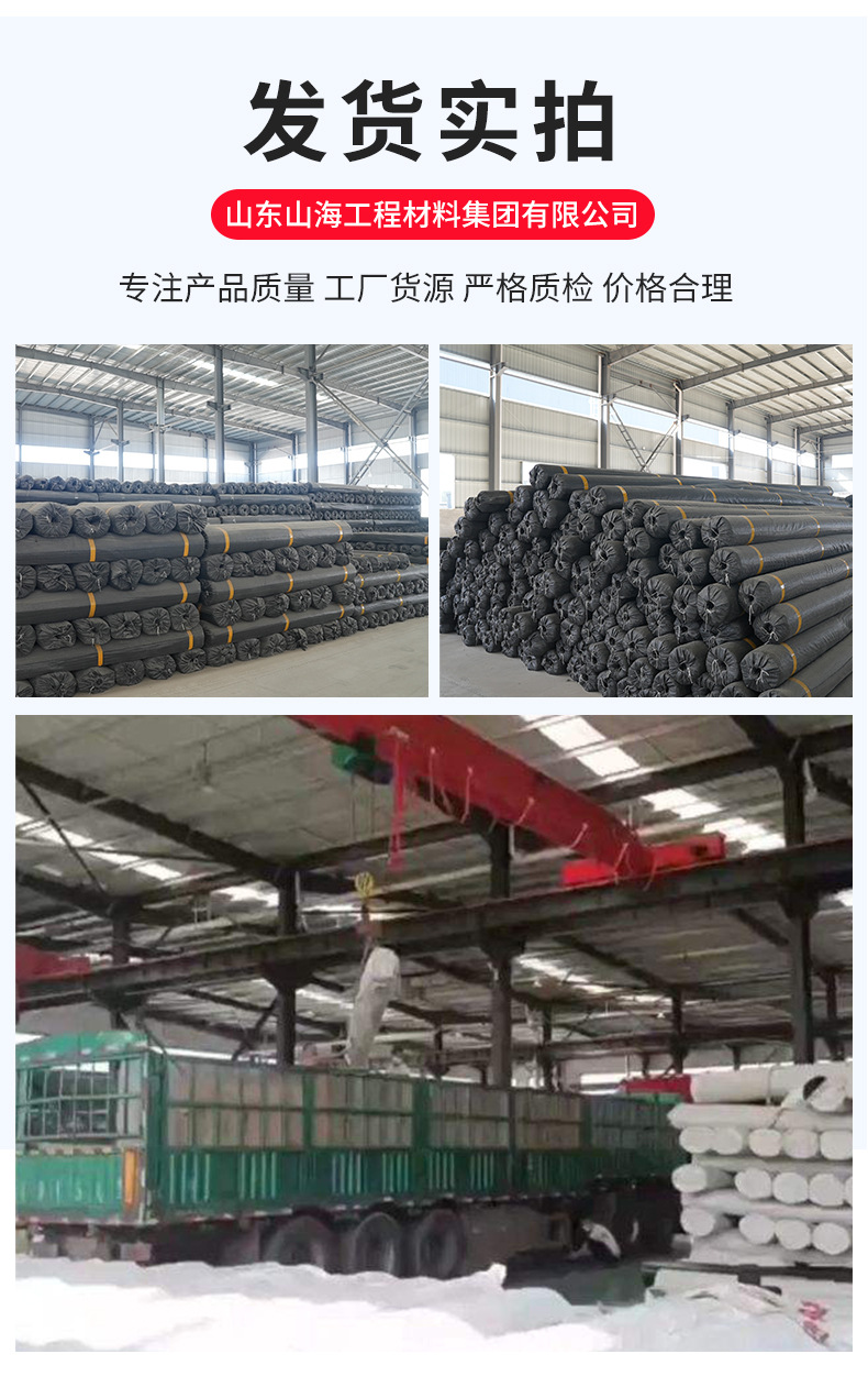 玻纤土工格栅_10.jpg