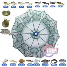 �~�W�r�\���~�\�Ԅ��ۯB��\ץ�S�X�\���r�W���ߝO��׽���r�W�O�W