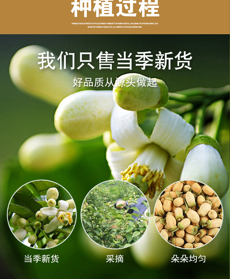 Dried Pomelo Flower (Citrus maxima) — Pure Natural Aromatic Edible Flower for Tea in use