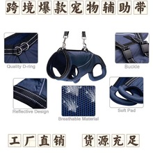 �����o�������g����Ȯ�����ϵK���Ϲ����ȟo�����Ǡ�����s