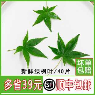 ���r���~�G���~ �����~��Ǘ��[�P�b��� ������������