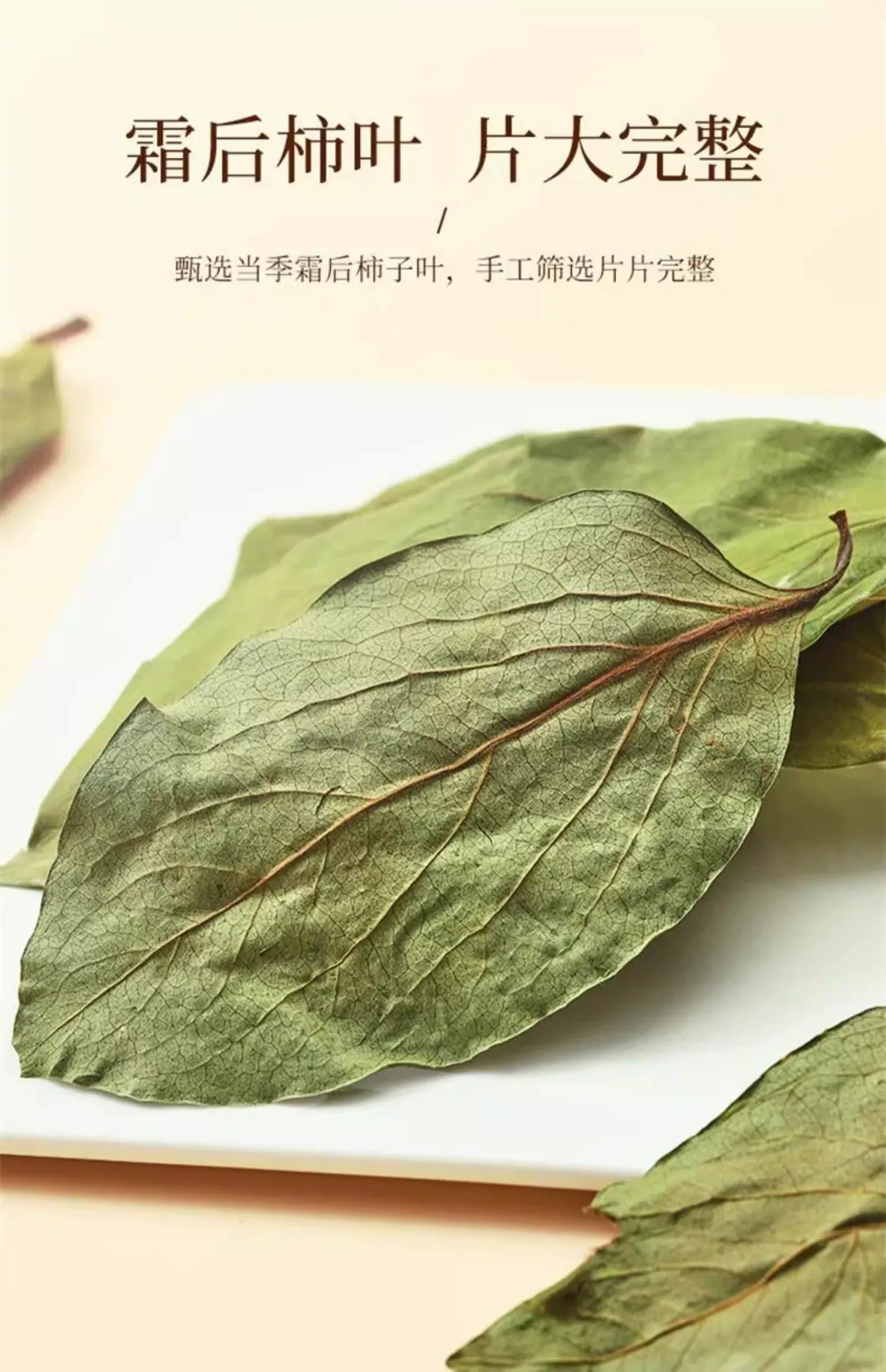 Wild Persimmon Leaf Tea Shi Ye 柿叶 Dried Herbal Tea Leaves 1600g Canister Frost Harvested Loose Bulk key features