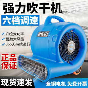 Floor Blower, Floor Dryer, Commercial High-Power Hair Dryer, Household Bathroom Toilet Floor Powerful Dehumidification