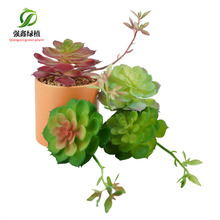 �������ֲ������ ��횵��ٌ�ɏ ��ֲ��Gֲ���ƴ�P��ˇ�b��ز�
