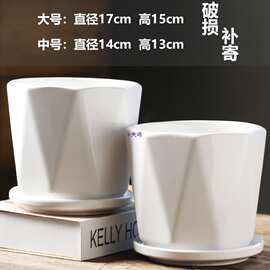 花盆陶瓷大号特大号带托盘白色简约艺术桌面流水手工