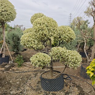 2511���Թ��� �����ǹ��� 2-4�׸� ���~���� ���� ͥԺ�e�����^��