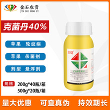 �h���` 40%�˾����Ҹ����O����݆�y�����������rș���o�Ԛ�����