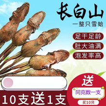 �|���L��ɽ��֧ѩ���8��12��ѩ����ľ�ϸ������a���ݮa��