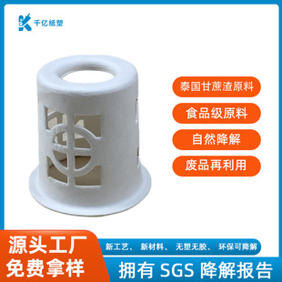 Customized Moxibustion Holder, Smoked Paper Holder, Plastic Dry Pressed Moxa Stick Packaging Design Manufacturer