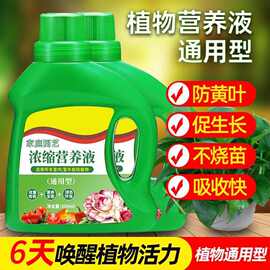 浓缩养花植物营养液花肥通用型肥料花卉家用绿植万能盆栽富贵竹