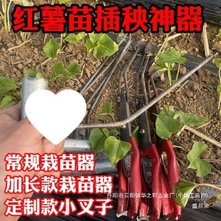 �S�Ҽt���������������矟����t��������� �߲���������������