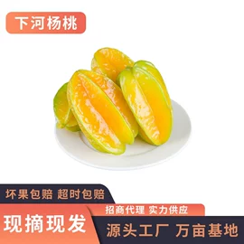 其他水果;柚;番薯类