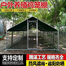 鸡笼室外家用养鸡遮雨棚户外大号家禽养殖笼棚搭建孔雀鹅鸭鸡舍棚