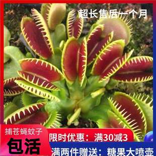 ��ω���i�\��ʳ�x��ʳ�˻������x��Ȥζ������òݲ��ò�ʳ�ò�