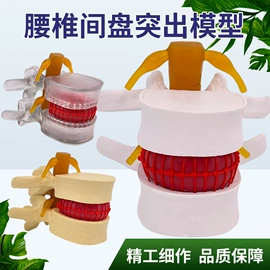 教学演示用品;其他模型玩具;医药教学器材