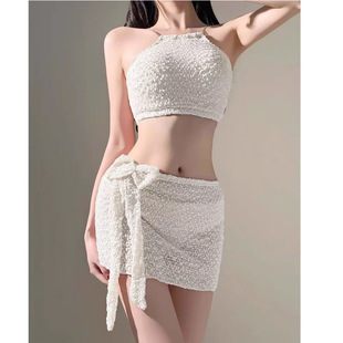 New Women's Split Skirt Three-Piece Set Sexy Pure Lust Style Halterneck Beach Hot Spring Vacation Women's Swimsuit Wholesale